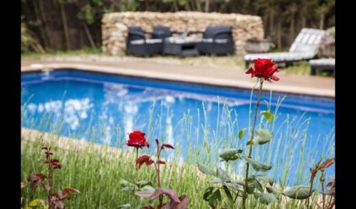 Vilafranca Del Penedes Villa Sleeps 6 With Pool