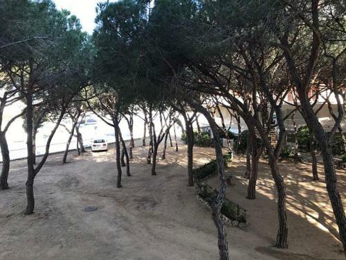 Apartamento Cibeles 1-5