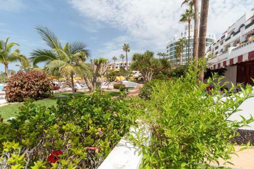Apartamento Parque Santiago IV 170 - Studio