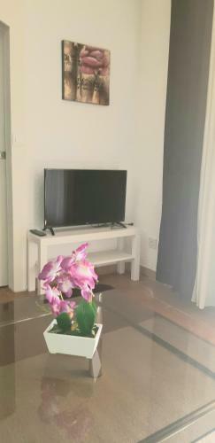 Apartamento Les Mimosas Vu Sur Canal