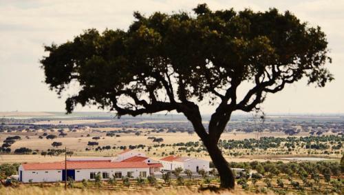 Agroturismo Sesmarias Turismo Rural &amp; Spa