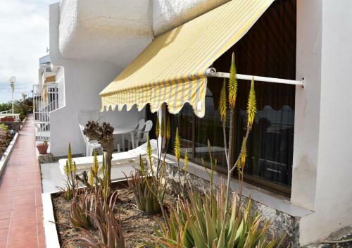 Puerto Rico Sunny Apartment With Terrace
