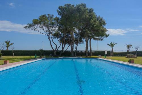 Apartamento Guardamar Family