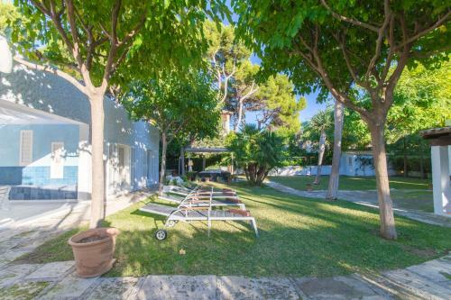 219385 - Playas De Muro