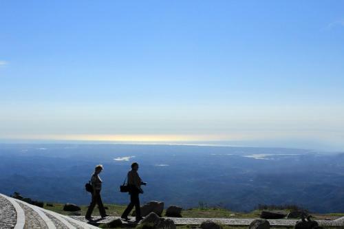 Bed & Breakfast Miradouro Da Serra