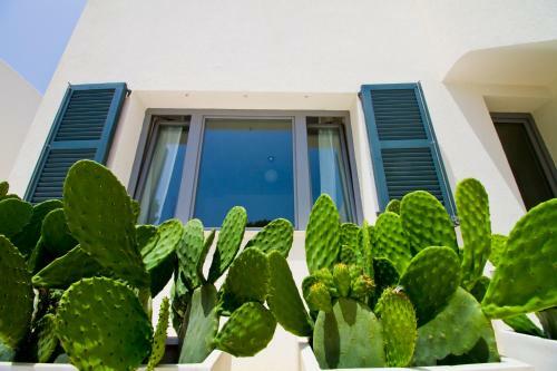 Villa Casa Blanca Vistamar Mhm