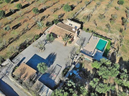 Son Morro Finca 230