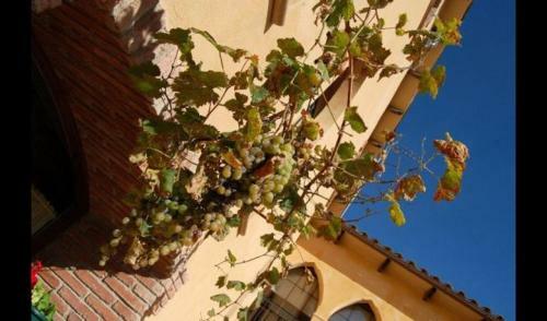 L'espunyola Villa Sleeps 19 With Pool