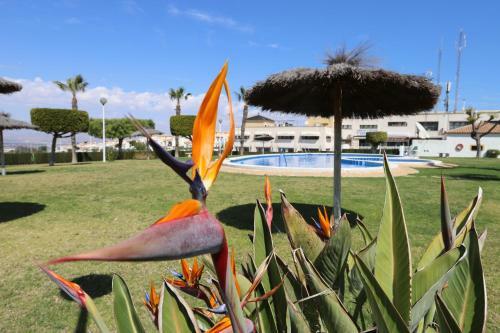Apartamento Altomar II - 002 Gran Alacant