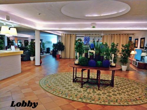 Hotel Da Ameira
