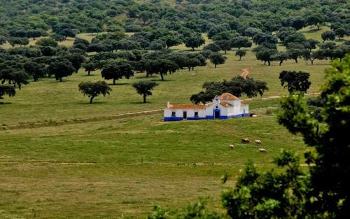 Herdade Da Negrita - Agroturismo