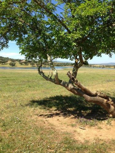 Herdade Da Negrita - Agroturismo