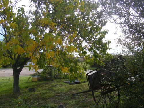 Agroturismo Quinta Dos Trevos