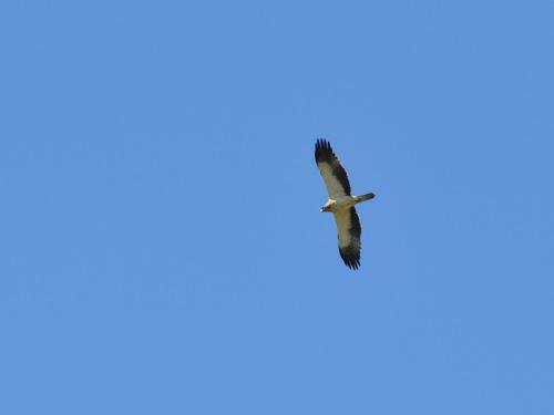 Agroturismo Quinta Dos Trevos