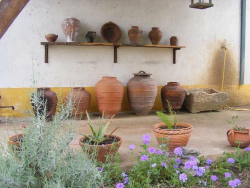 Agroturismo Quinta Dos Trevos