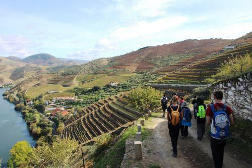 Hostal Douro Fluvina Yachts & Chalets