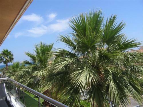 -- Front Line -- Apartments In Playa Flamenca