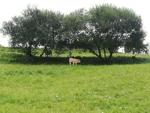 Agroturismo Eguzkitze Alojamiento Rural