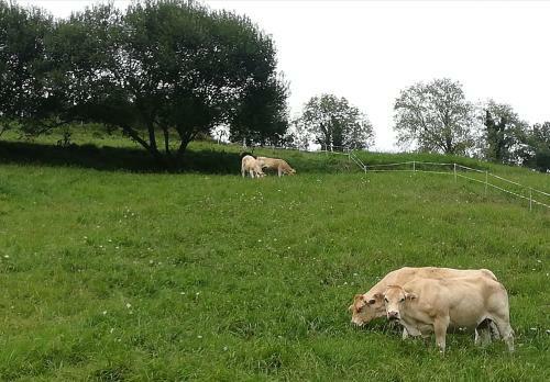 Agroturismo Eguzkitze Alojamiento Rural