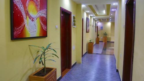 Yinm Furnished Apartment
