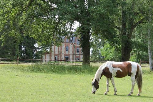 Ch�teau de Beauch�ne Chambres D'h�tes