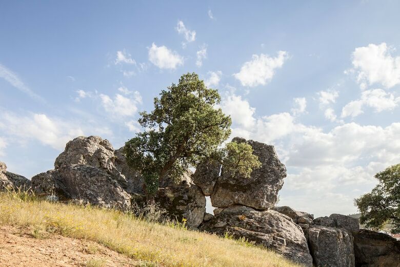 Agroturismo Monte Da Esperanca