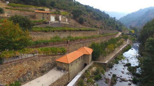 Quinta De Reciao
