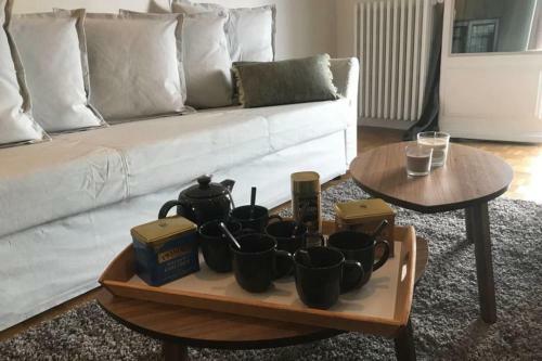 Le Genevois - 2 Bedrooms Apartment