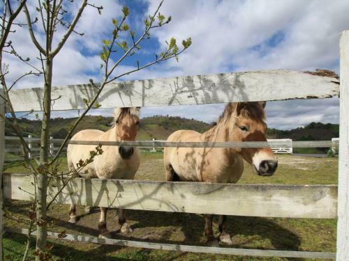 G�te Barcus, 3 Pi�ces, 4 Personnes - Fr-1-384-769