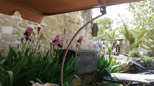Hostal Le Merey