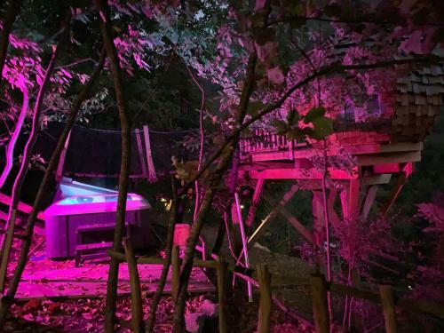 Bed & Breakfast Les Ecrins de Belvedere