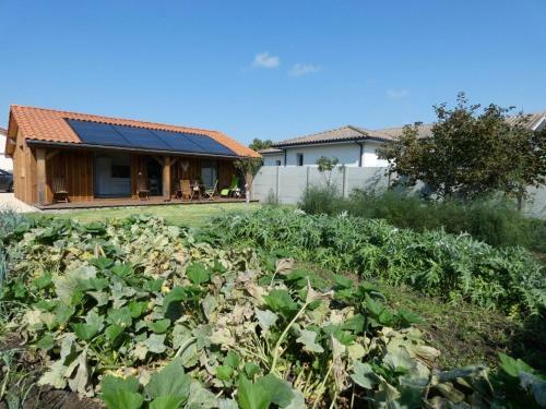 G�te B�nesse-maremne, 2 Pi�ces, 2 Personnes - Fr-1-360-528