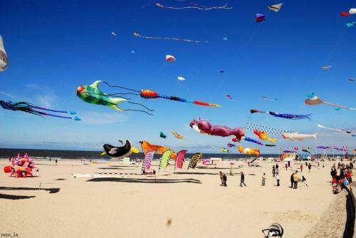 Apartamento Appart 2-4 Pers Berck-plage Hyper-centre