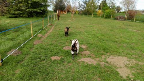 Bed & Breakfast La Pastorale