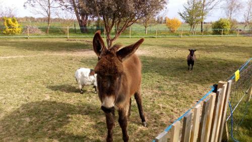 G�te Les Tilleuls