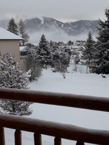 Les Flocons De Neige