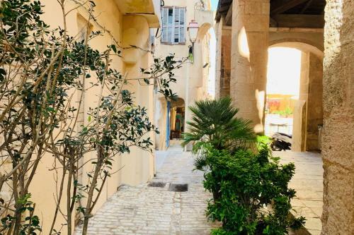 Villa T4 U Pinu Maquis Piscine