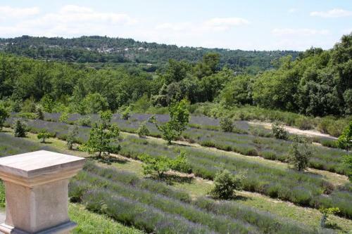 Bonnieux Villa Sleeps 8 With Pool And Wifi