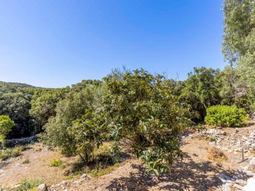 Holiday Home Tsi Carlo