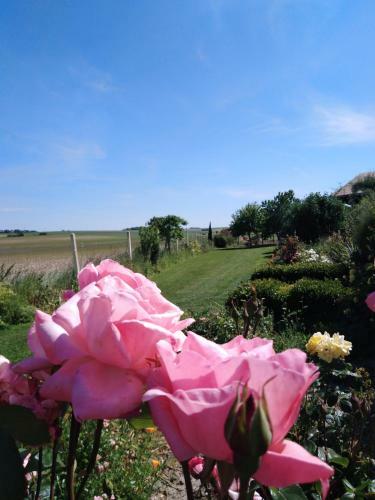 Bed & Breakfast A L �poque