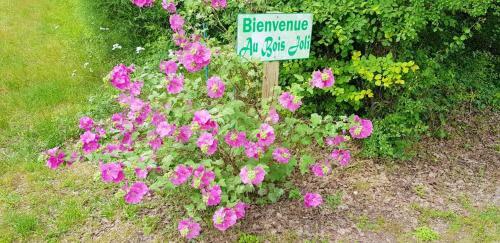 House With One Bedroom In Bussac Foret With Shared Pool Terrace And Wifi