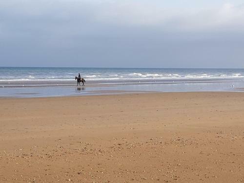 Apartamento Appartement Cabourg Pr�s de La Plage