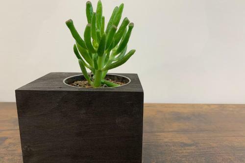 Apartamento Buddha'part By K6 Conciergerie