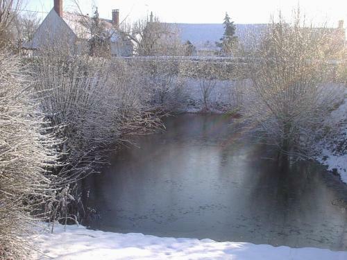 Bed & Breakfast La Pause - Val de Loire (20 Mins - Zoo de Beauval)