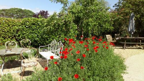 Bed & Breakfast La Pause - Val de Loire (20 Mins - Zoo de Beauval)