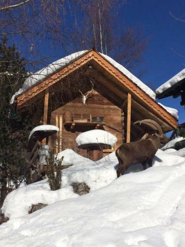 Small Traditional Chalet Near Chamonix