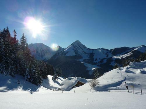 Chalet Belle Vache In Chatel With Hot-tub