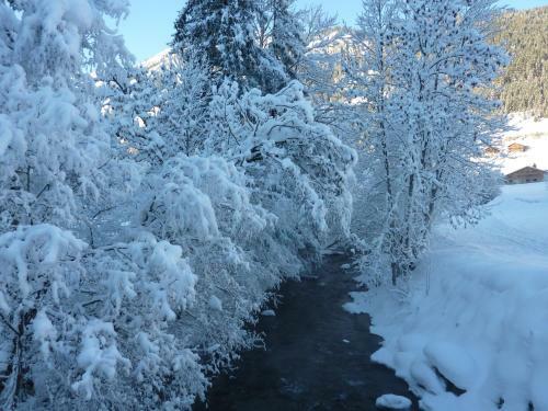 Chalet Belle Vache In Chatel With Hot-tub