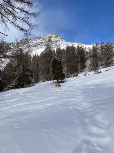 Bed & Breakfast Chambres D'h�tes - La Bonne �toile