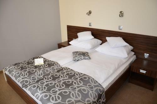 Hotel U Michalika